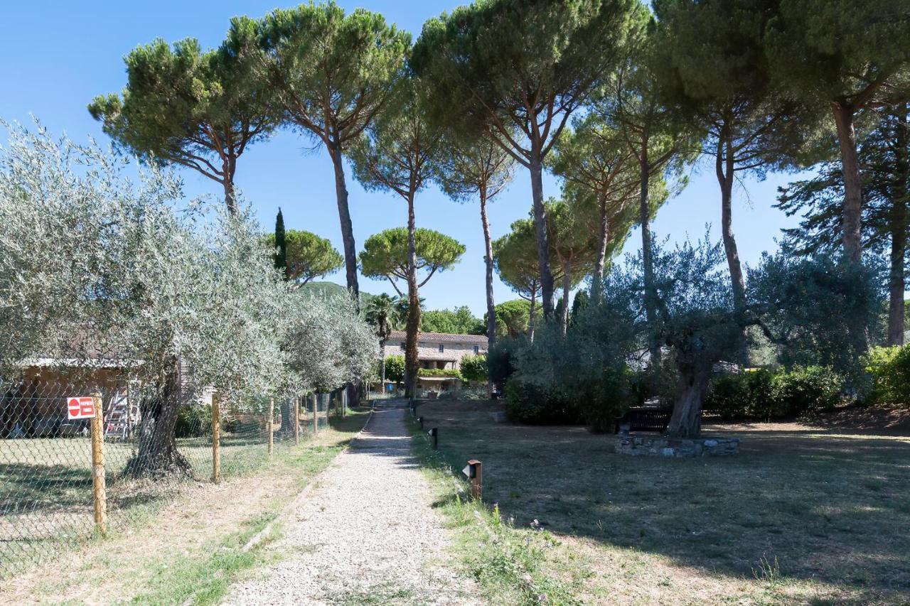 Dolce Far Niente Apartment With Pool & Parking Passignano sul Trasimeno Eksteriør bilde