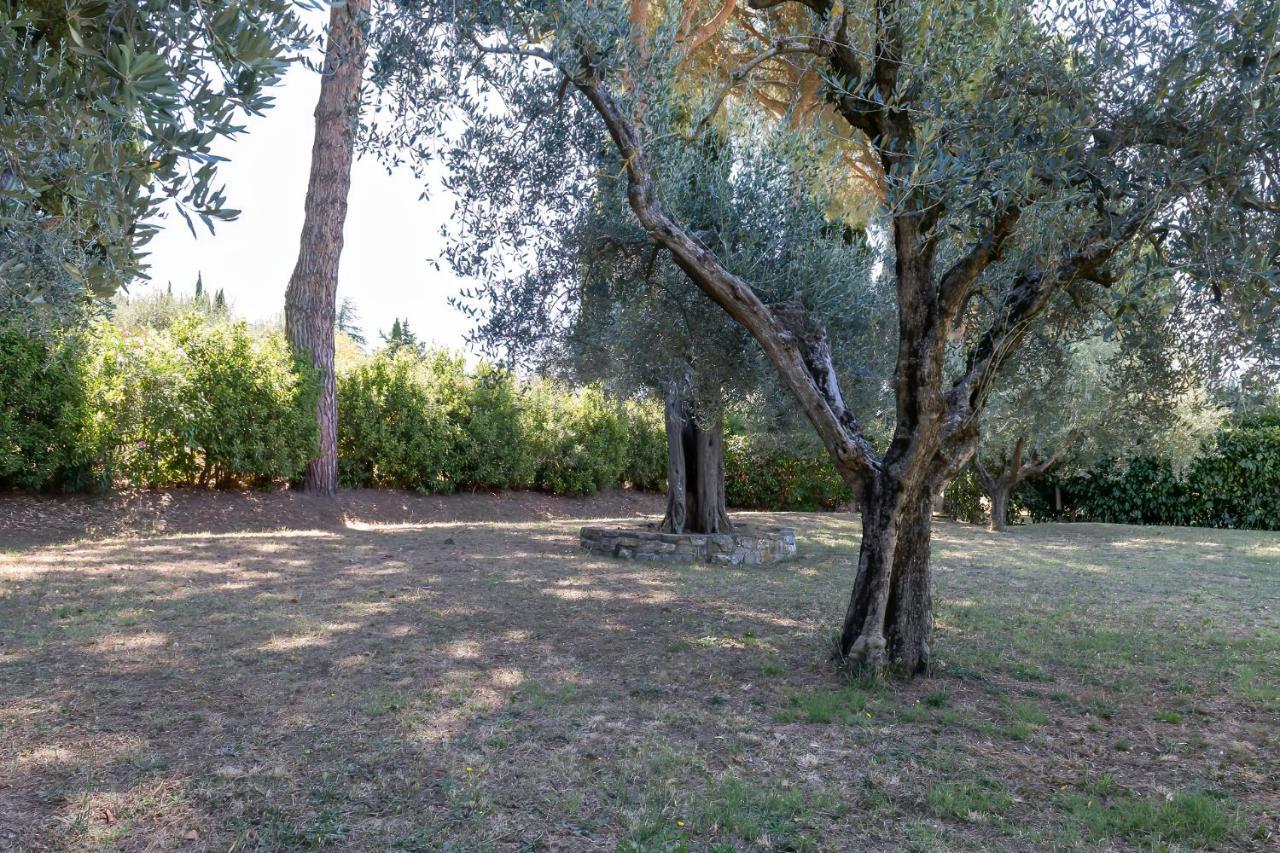 Dolce Far Niente Apartment With Pool & Parking Passignano sul Trasimeno Eksteriør bilde