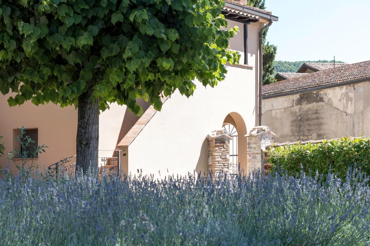Dolce Far Niente Apartment With Pool & Parking Passignano sul Trasimeno Eksteriør bilde